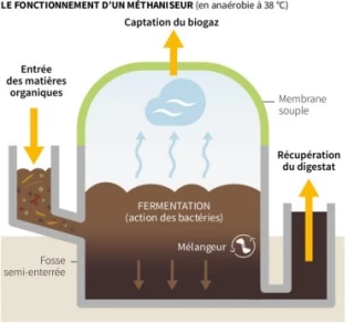 La micro-méthanisation au service des petites exploitations