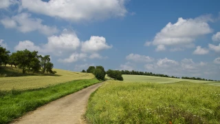 L’Assemblée envoie le PLF au Sénat avec des apports majeurs pour l’agriculture