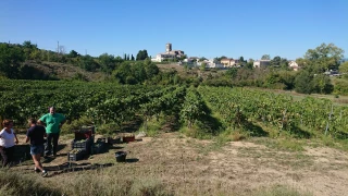 Comment s’adaptent-ils en Sud-Ardèche ?