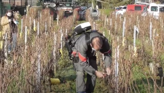 Test de l’exosquelette ExoBack en situation