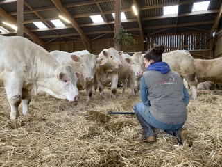 La docilité : cheval de bataille de la station de Jalogny !