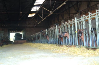 Une chèvrerie confortable et fonctionnelle