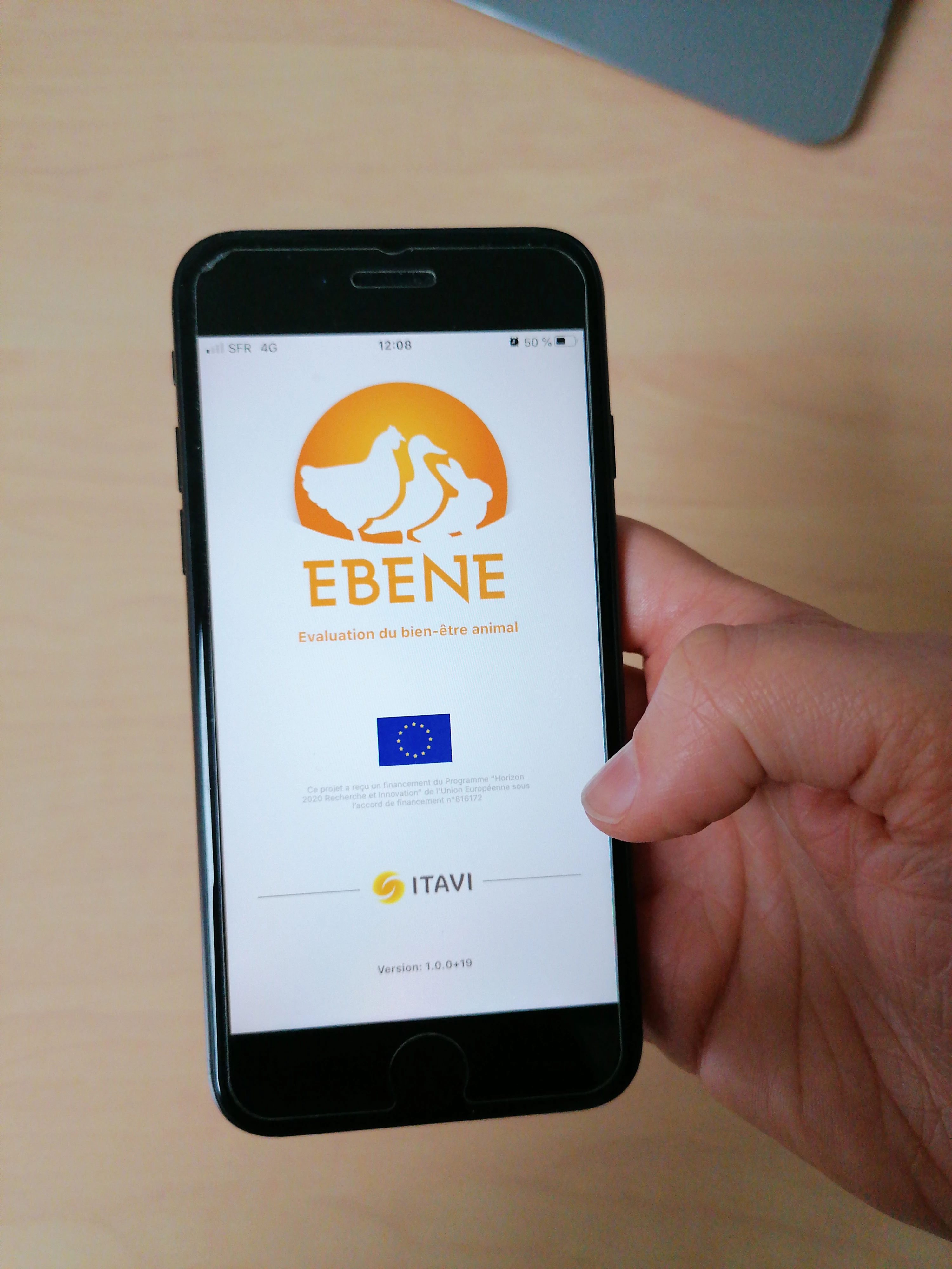 Ebène en bref