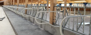 Des séparateurs flexibles de logettes 