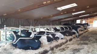 Face aux effets du changement climatique, optez pour le modulable