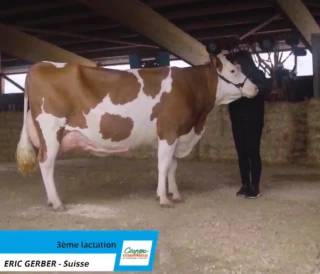 EXCLU WEB : Quercy, reine de l’expo virtuelle Umotest-Coopex en montbéliarde