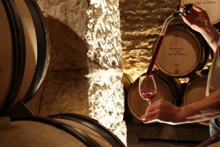 La viticulture de demain se prépare aujourd'hui