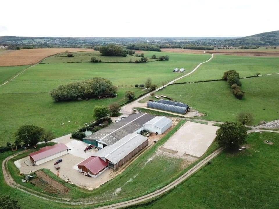 TÉMOIGNAGE :  Le Gaec des Tillets utilise le pâturage tournant dynamique depuis quatre ans