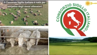 Une marque italienne qui se remarque en France