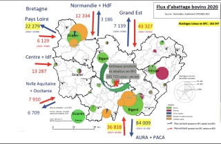 Interprofession Vigilance nécessaire à tous les niveaux