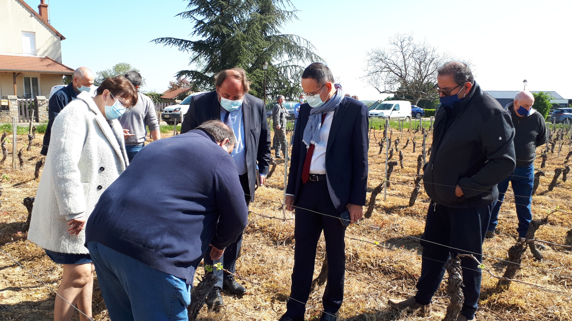 Le sous-préfet et les élus du Chalonnais au chevet des viticulteurs touchés par le gel