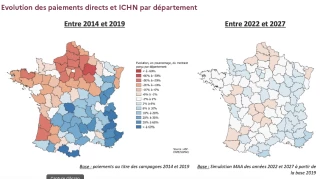 Les principaux arbitrages adoptés