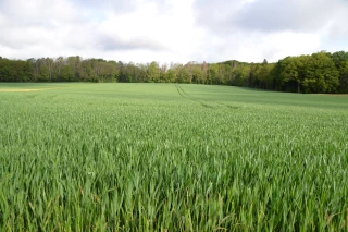 Les pluies compliquent les interventions