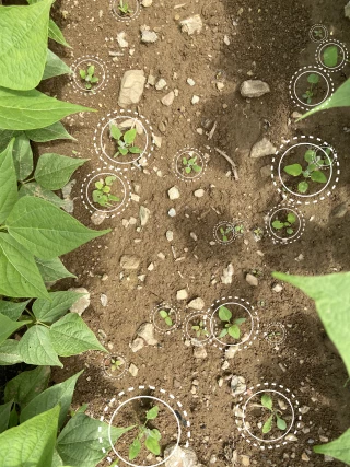 Des caméras pour optimiser la capacité