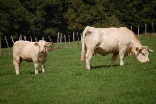 « Négociez des hausses »