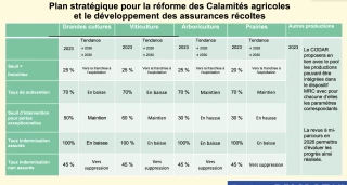 Aléas climatiques  : une mutation profonde s'impose