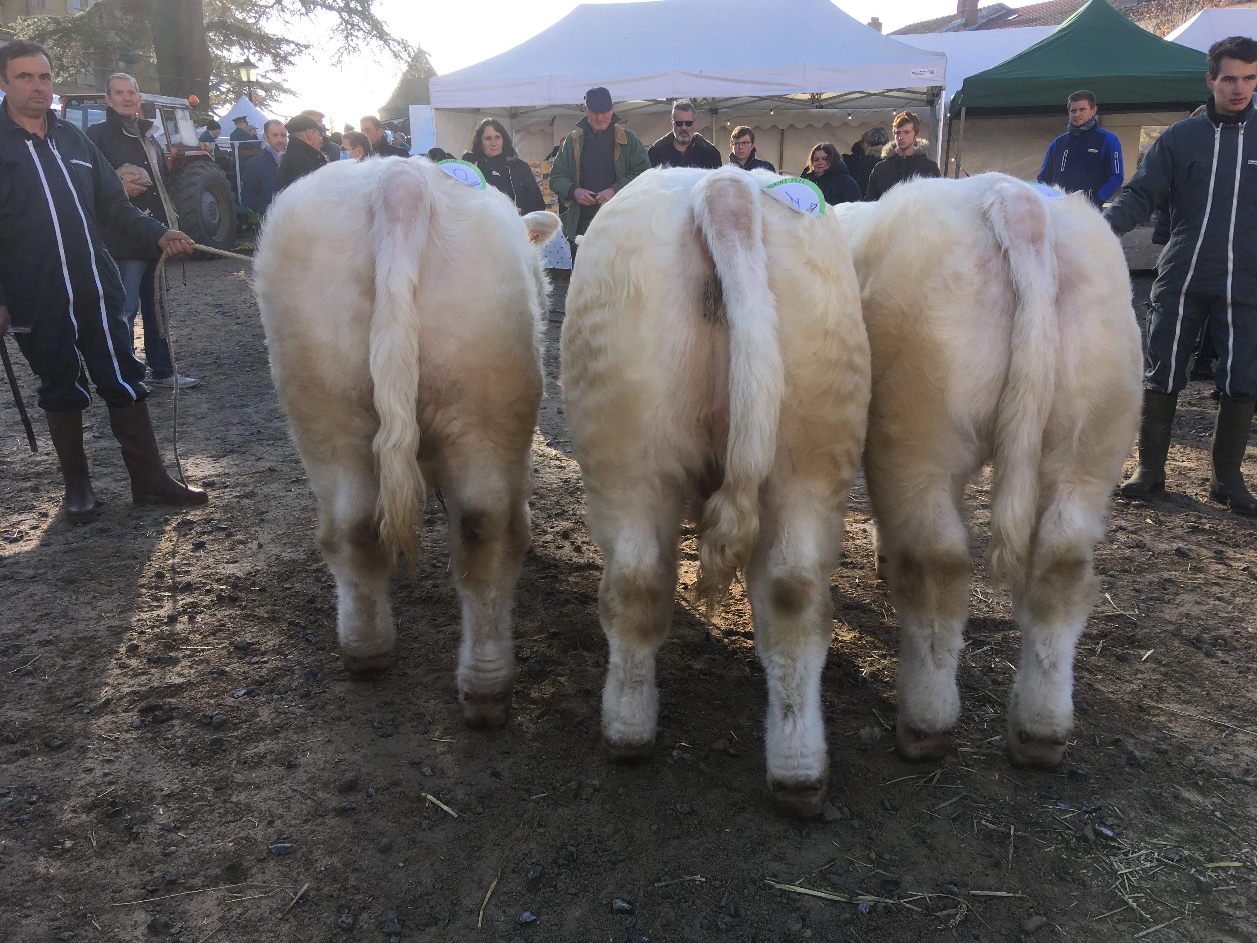 Les résultats du concours