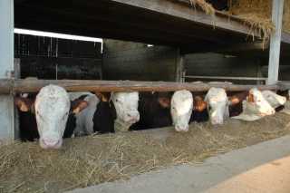 Détecter précocement les troubles respiratoires