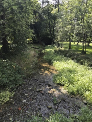 Vérifier les cours d’eau