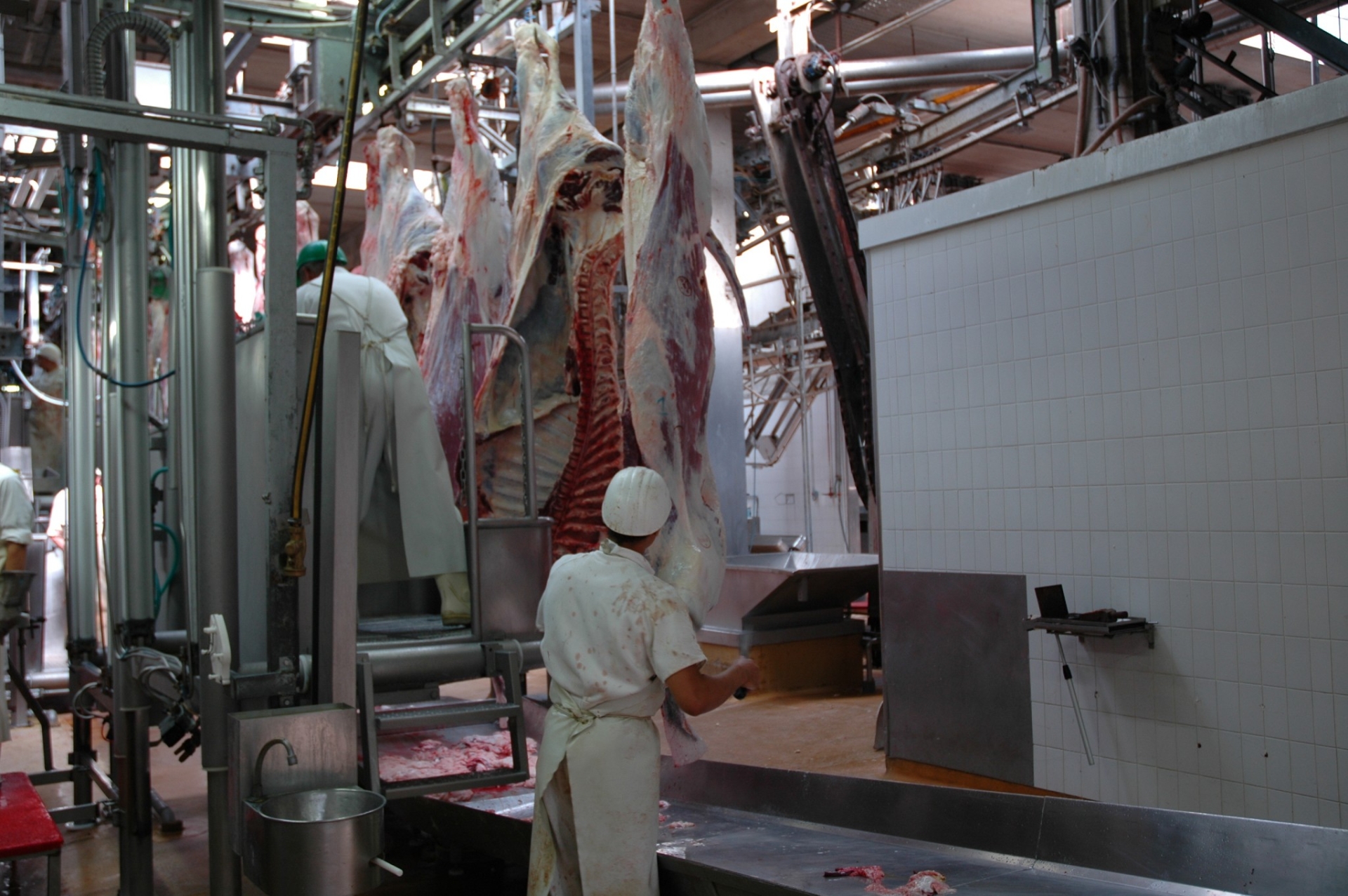 Filière viande : Une cotisation bien employée à Normabev