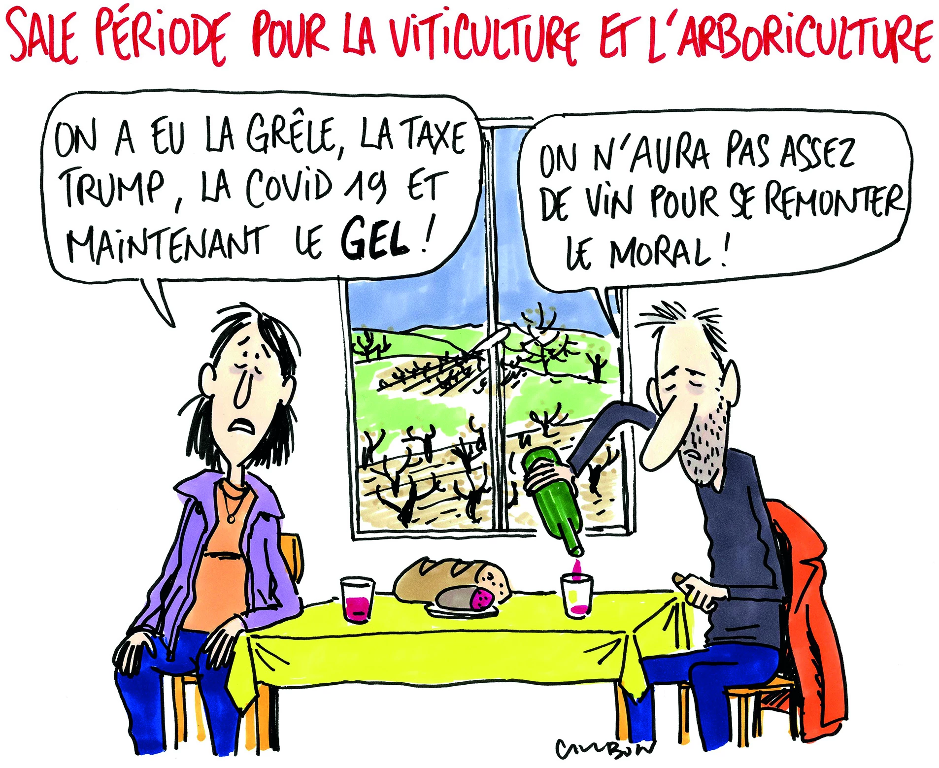 Avril GEL / Coup de froid sur les vignes et les vergers