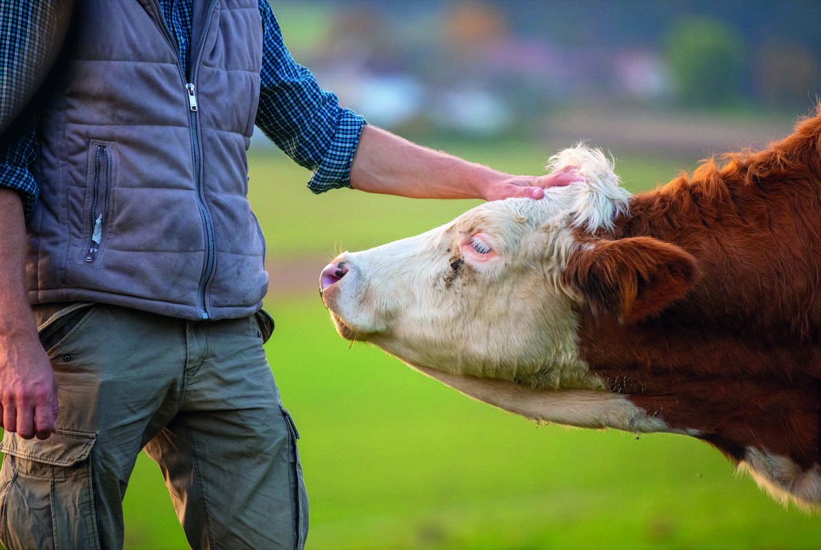 Les nouveautés de 2022 pour l’agriculture