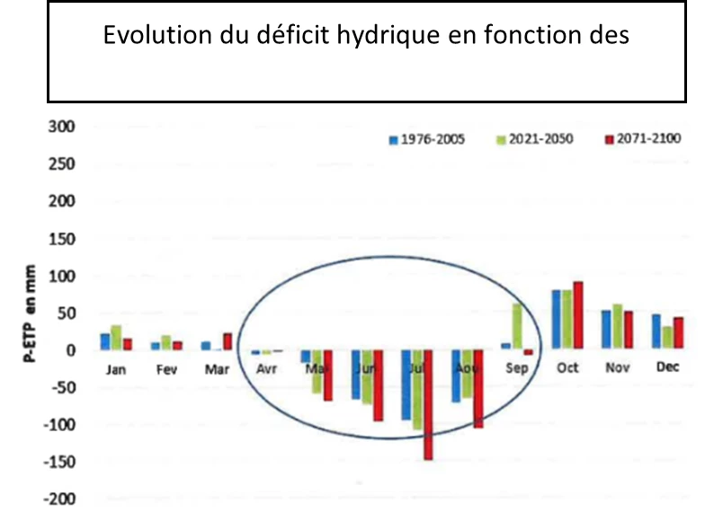 Déficit hydrique, kézako ?