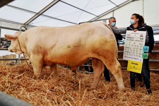 « Tout est possible » pour Jean-Pierre Ferré
