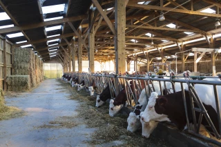 Des bâtiments adaptés au bien-être animal