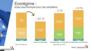 Future Pac grandes cultures : de nombreux facteurs à prendre en compte