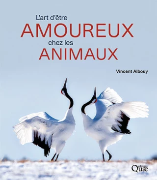 L’art d’être amoureux chez les animaux