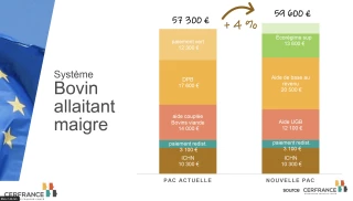 Faire les bons choix