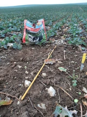 Estimer précisément les besoins azotés