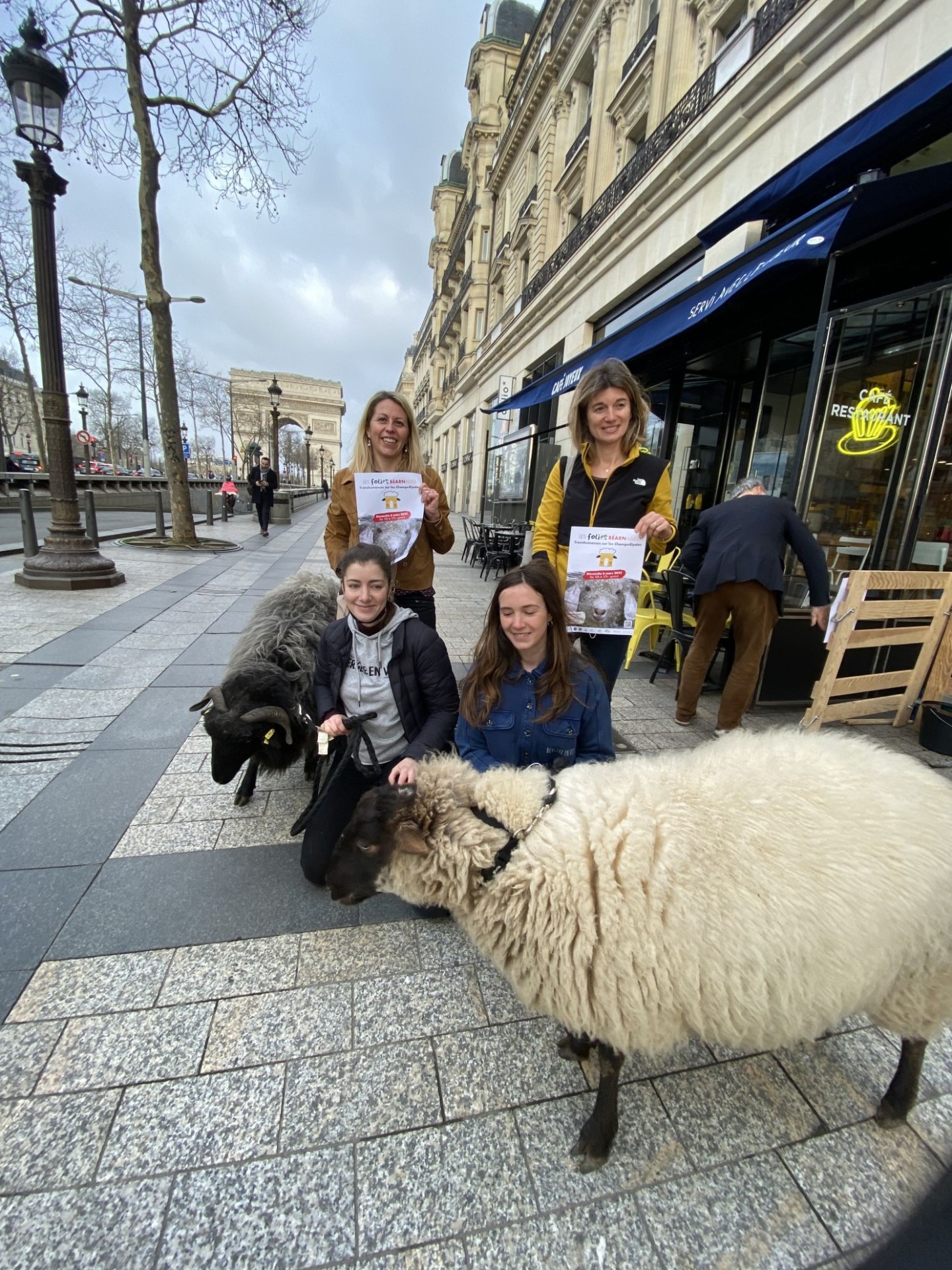 Folies Béarnaises : 2022 moutons sur les Champs-Élysées le 6 mars
