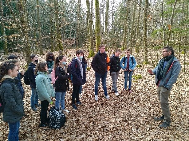 Journée internationale de la forêt
