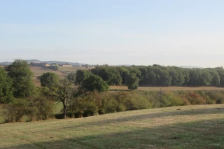 Des haies agricoles pleines de ressources