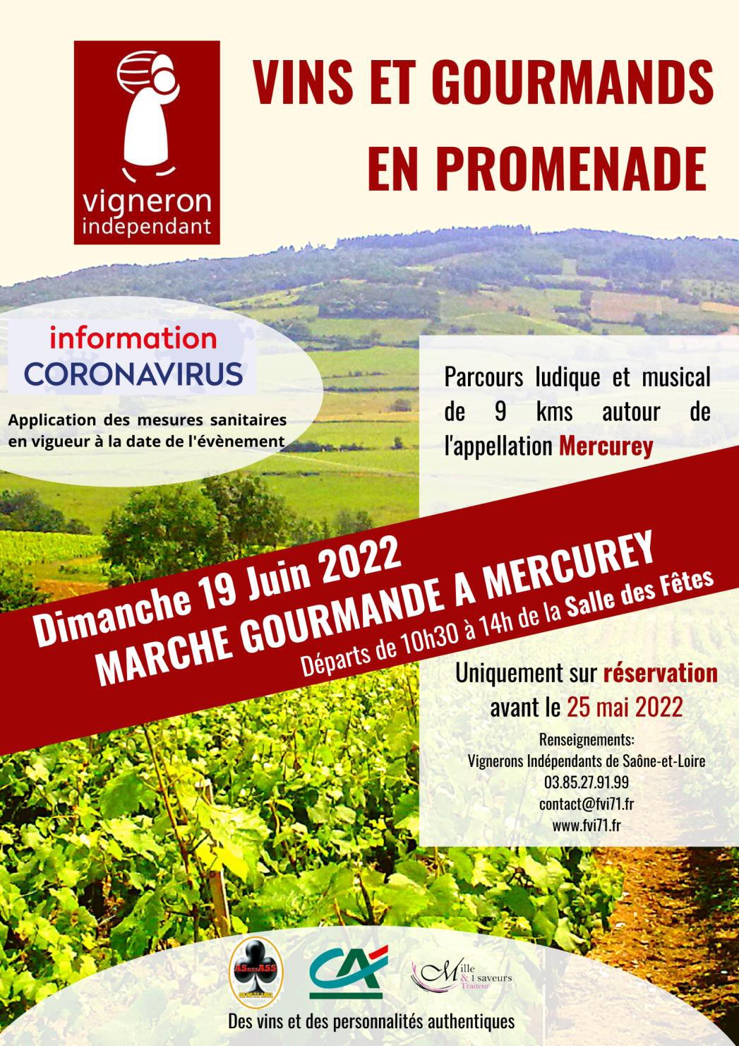 Tous à la marche gourmande le 22 juin à Mercurey