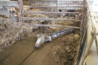 Une économie non négligeable 
