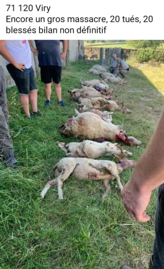 La solidarité pour tenir