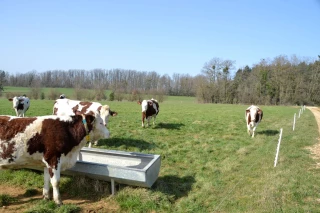 Confort thermique et rations d’été