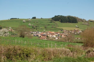 Plantons des haies