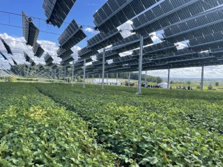 Conserver la production des terres agricoles tout en relevant le défi énergétique de demain !