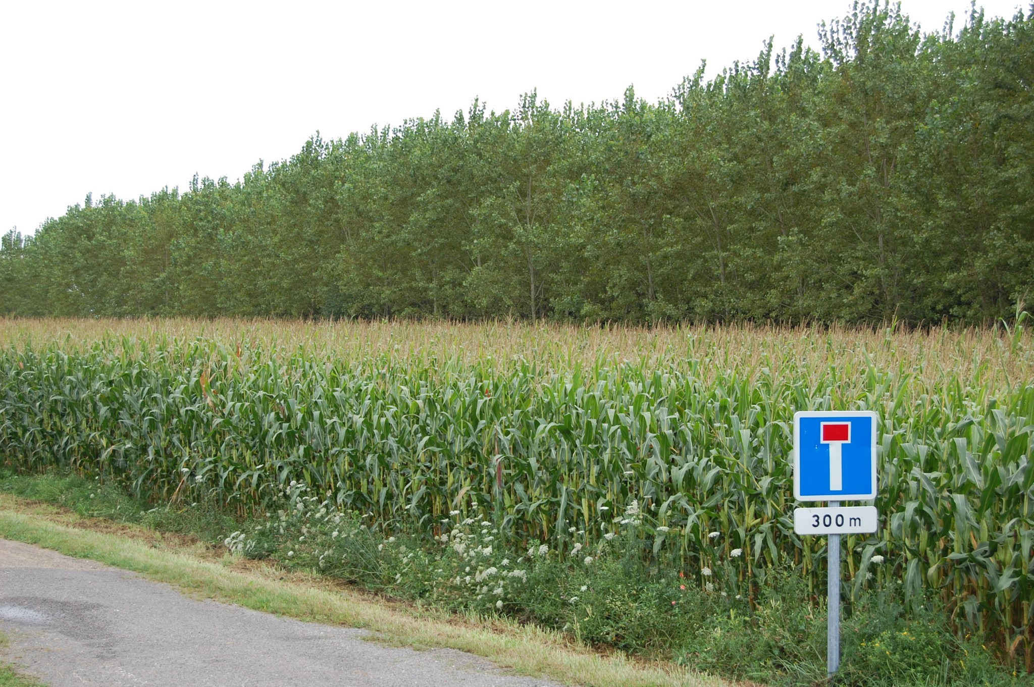 Les coopératives face à un marché tendu et incertain