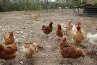 Prévention renforcée avant un hiver à haut risque