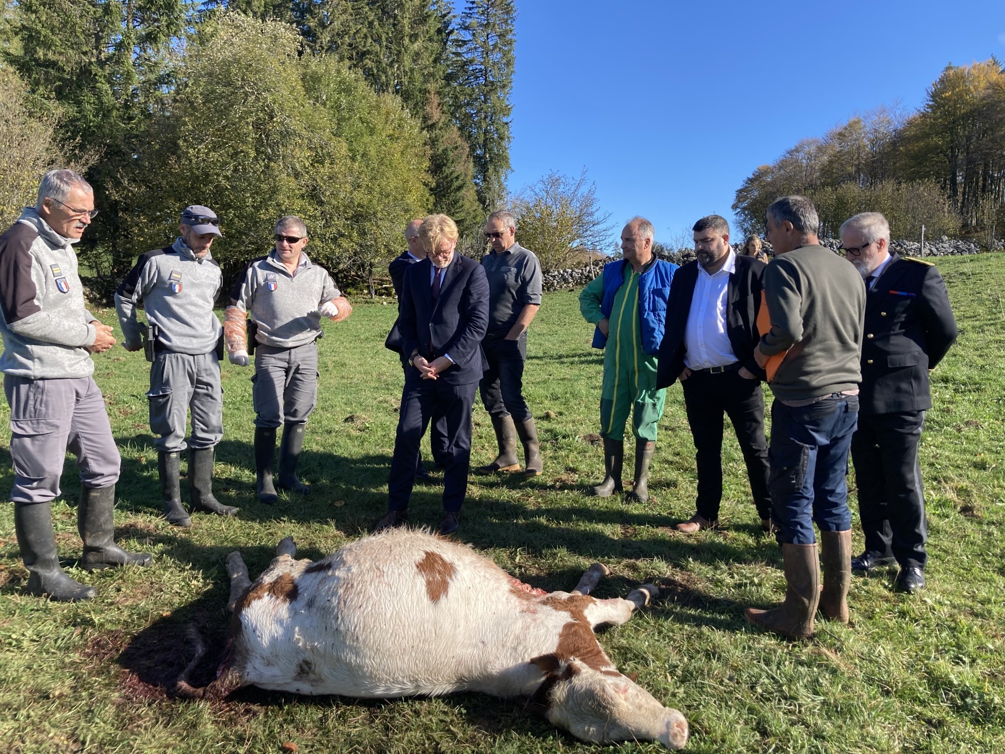 Un succès démographique au détriment des éleveurs