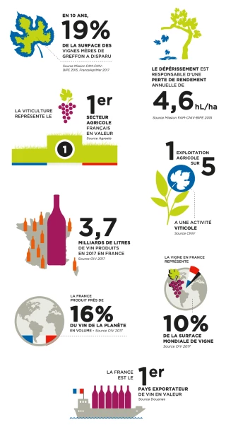 Un plan d’envergure
