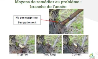 Et si on taillait autrement ?