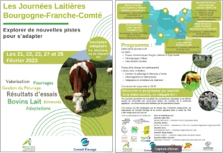 Explorer de nouvelles pistes pour s’adapter