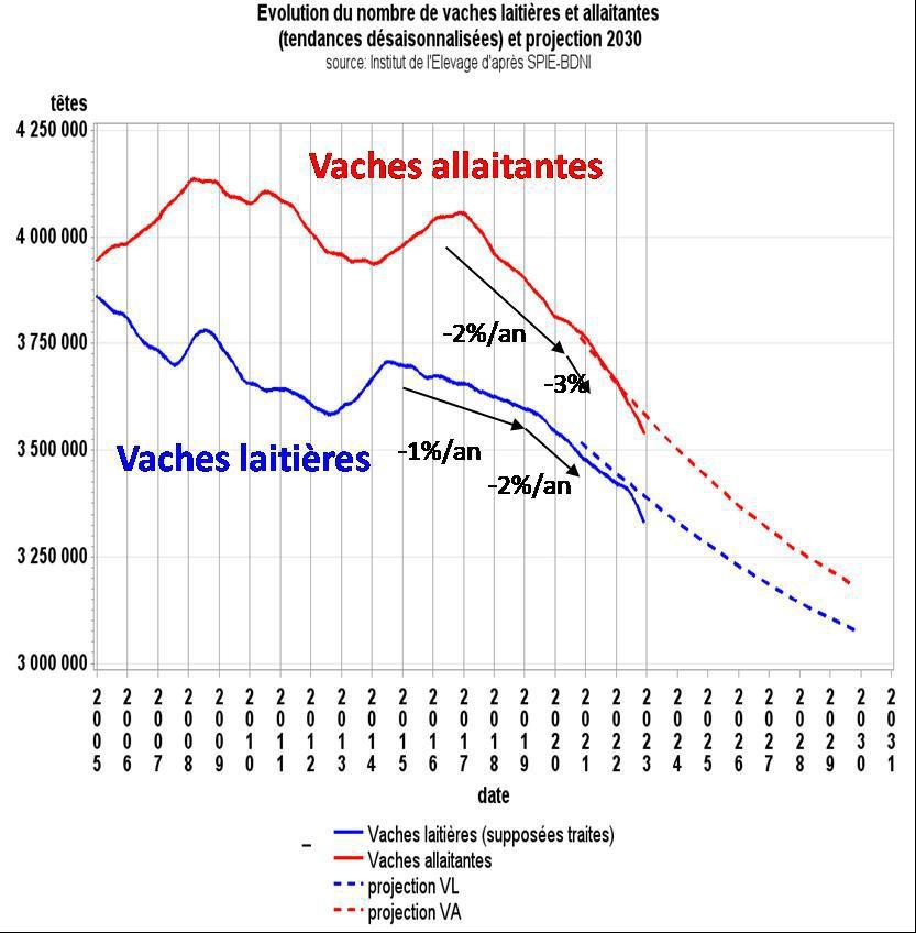 Décryptage bovins viande : décapitalisation, de quoi es-tu le nom ?