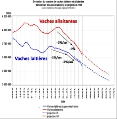 Décryptage bovins viande : décapitalisation, de quoi es-tu le nom ?